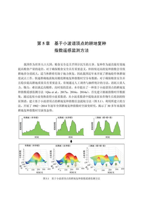 农作物时序遥感制图技术 助力国家粮食安全战略